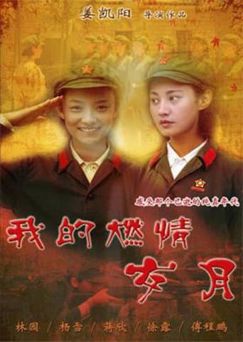 Poster for 我的燃情岁月