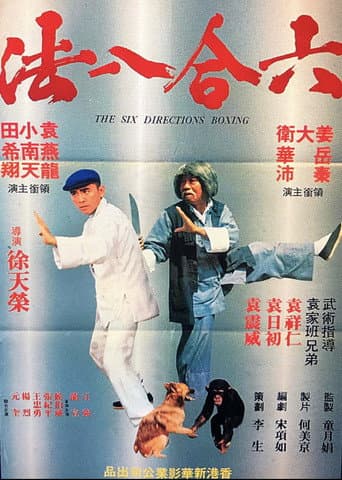 Poster for The Six Directions of Boxing