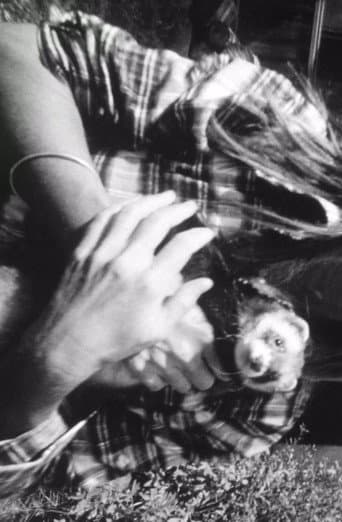Poster for Ferrett Film