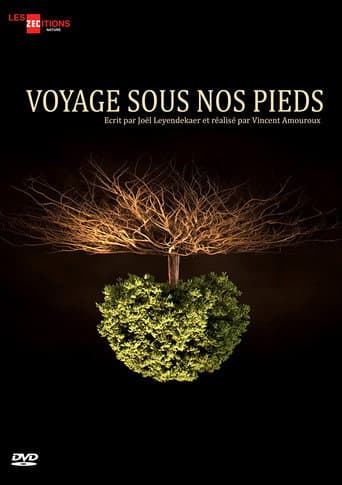 Poster for Voyage sous nos pieds