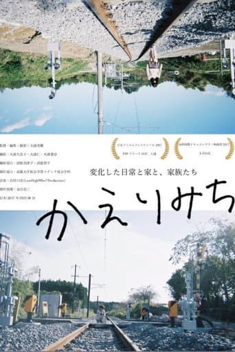 Poster for The Road Home