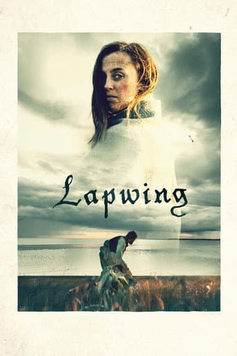 Poster for Lapwing