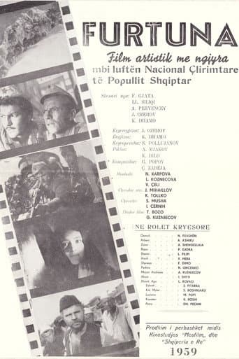 Poster for Furtuna