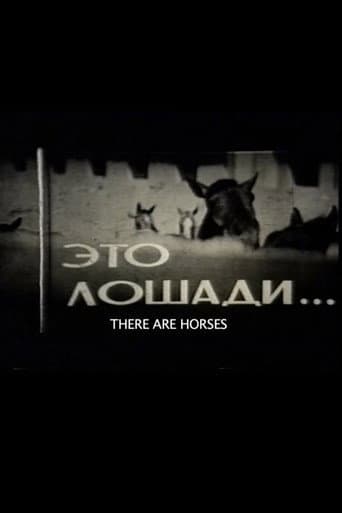 Poster for There Are Horses