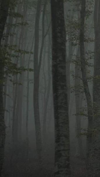 Poster for Refuge II: The Ice Path