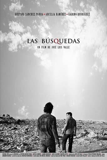 Poster for The Searches