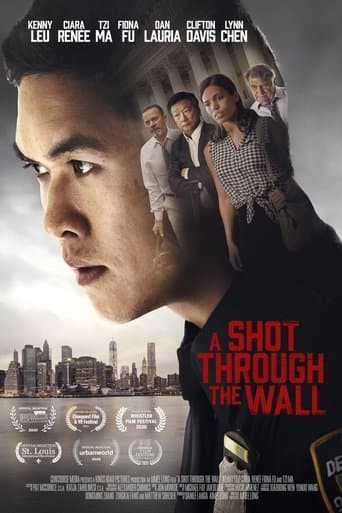 Poster for A Shot Through the Wall