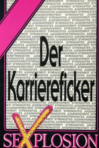 Poster for Der Karriereficker