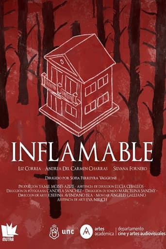Poster for Inflamable