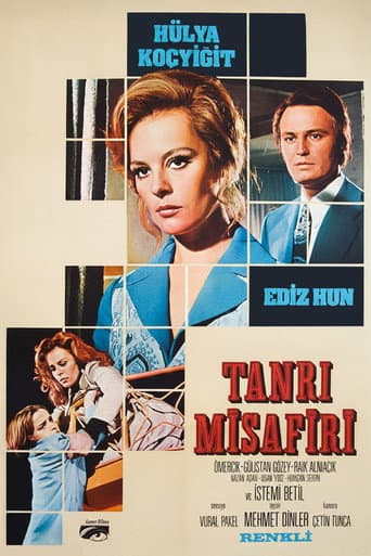 Poster for The Unexpected Guest