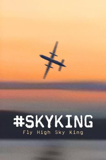 Poster for #SKYKING