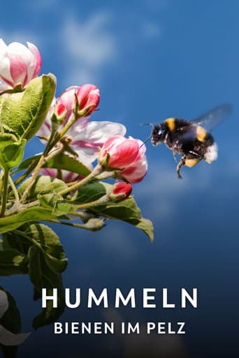 Poster for Hummeln - Bienen im Pelz