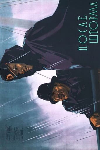 Poster for After The Storm