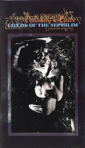 Poster for Fields of the Nephilim: Visionary Heads