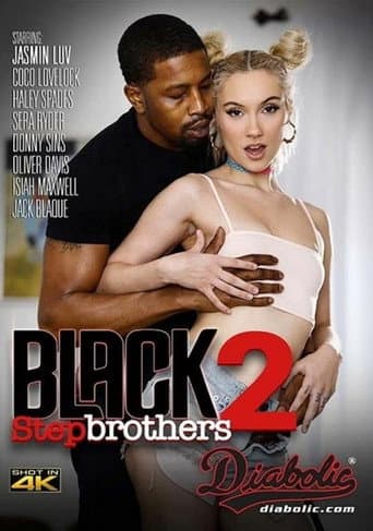 Poster for Black Stepbrothers 2