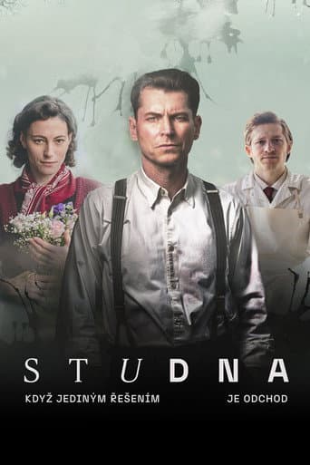 Poster for The Well