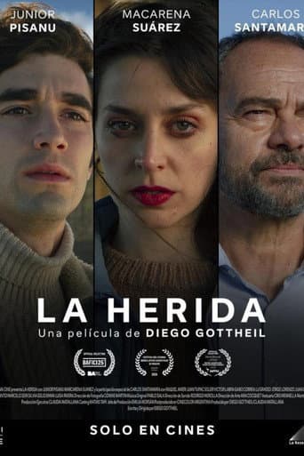 Poster for The Wound