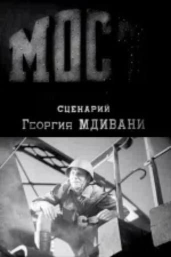 Poster for The Bridge