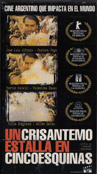 Poster for A Crysanthemum Bursts in Cincoesquinas