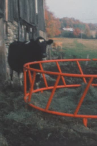 Poster for Super 8 Diary - 1991
