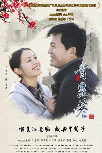 Poster for 青果巷
