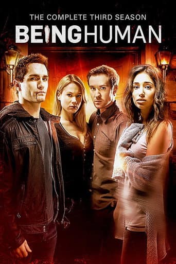 Poster for Season 3