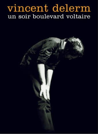 Poster for Vincent Delerm - Un soir boulevard Voltaire