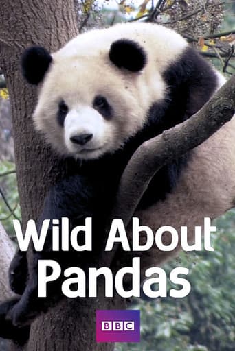 Poster for Wild About Pandas