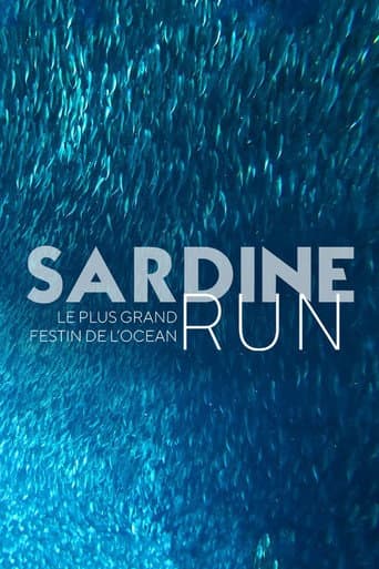 Poster for Sardine Run, le plus grand festin de l'océan