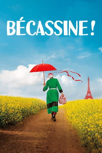 Poster for Bécassine !