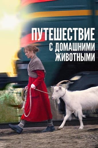 Poster for Travelling with Pets