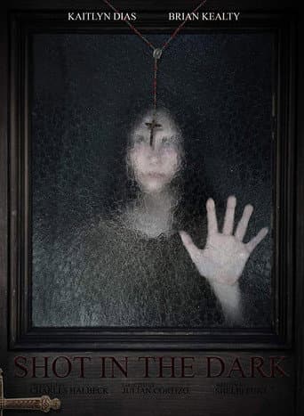 Poster for Shot in the Dark