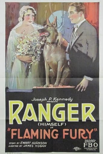 Poster for Flaming Fury
