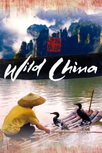 Poster for Miniseries