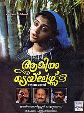 Poster for Amina Tailors