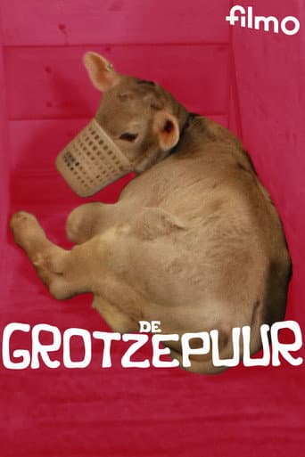 Poster for De grotzepuur
