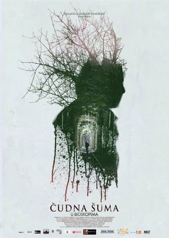 Poster for Strange Forest