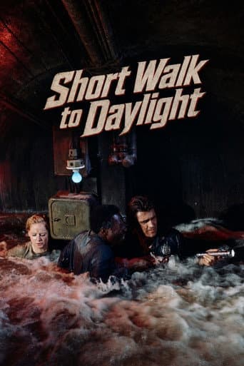 Poster for Short Walk to Daylight