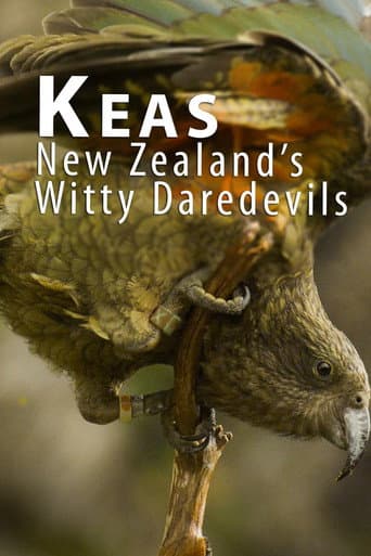Poster for Keas - New Zealand's Witty Daredevils