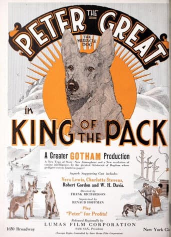 Poster for King of the Pack