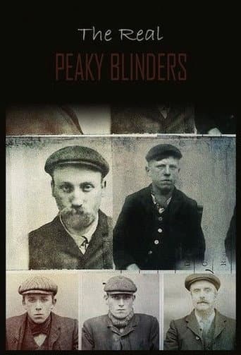 Poster for Miniseries