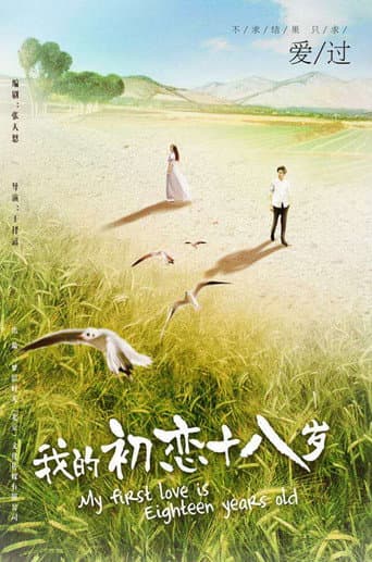 Poster for 我的初恋十八岁