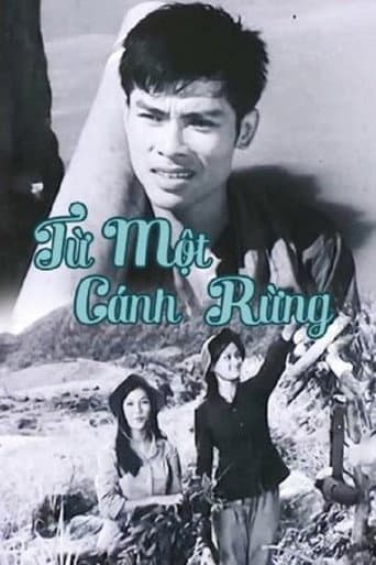 Poster for From The Same Forests