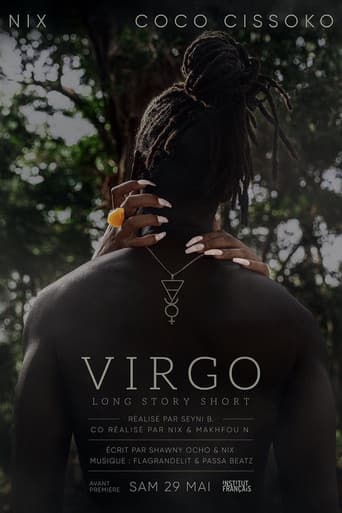 Poster for Virgo – Long Story Short