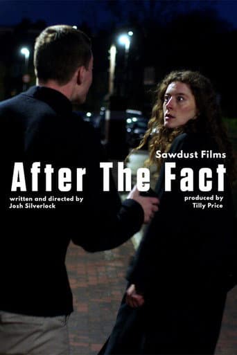 Poster for After the Fact