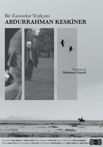 Poster for Once Upon a Time Yeşilçam: Abdurrahman Keskiner
