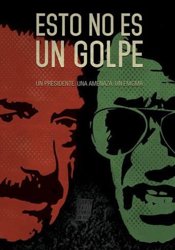Poster for This Is Not a Coup
