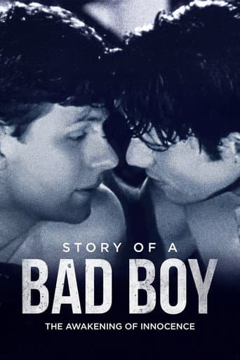 Poster for Story of a Bad Boy