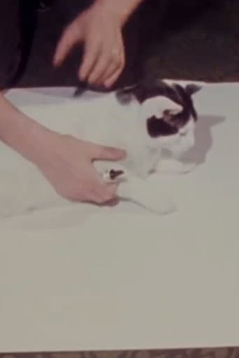 Poster for How to Draw a Cat