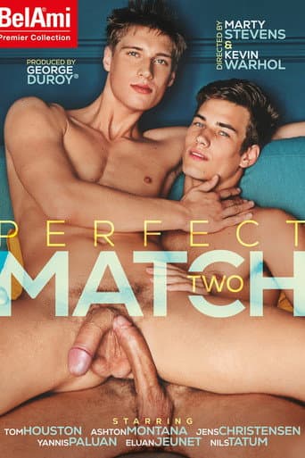 Poster for Perfect Match Two